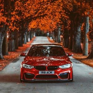 Meet your Posher, Gracie